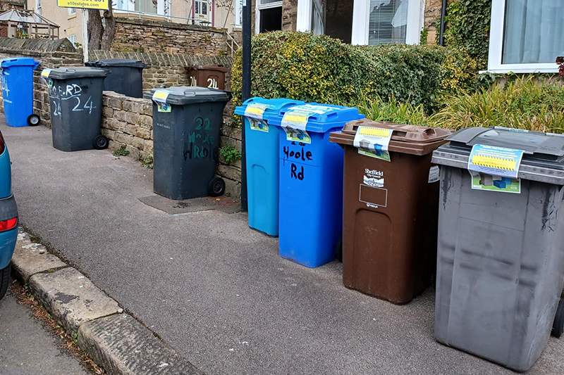 Wheelie bins lined up on a residential street