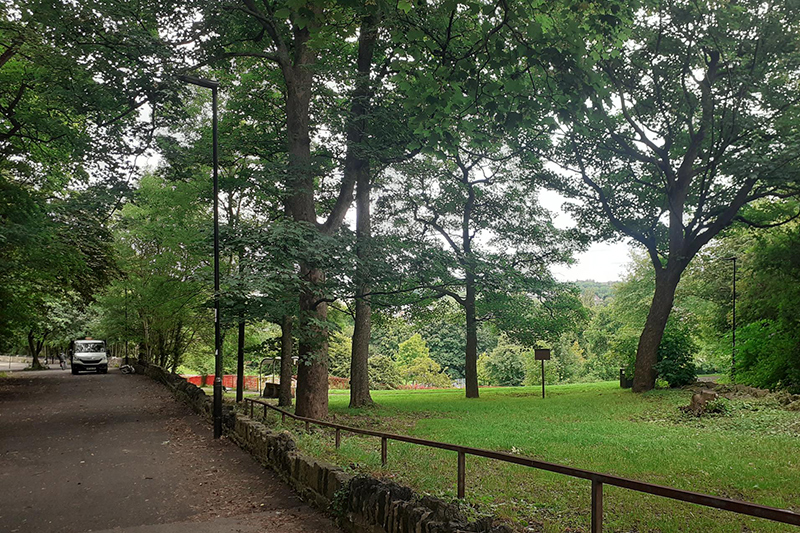 Park with trees