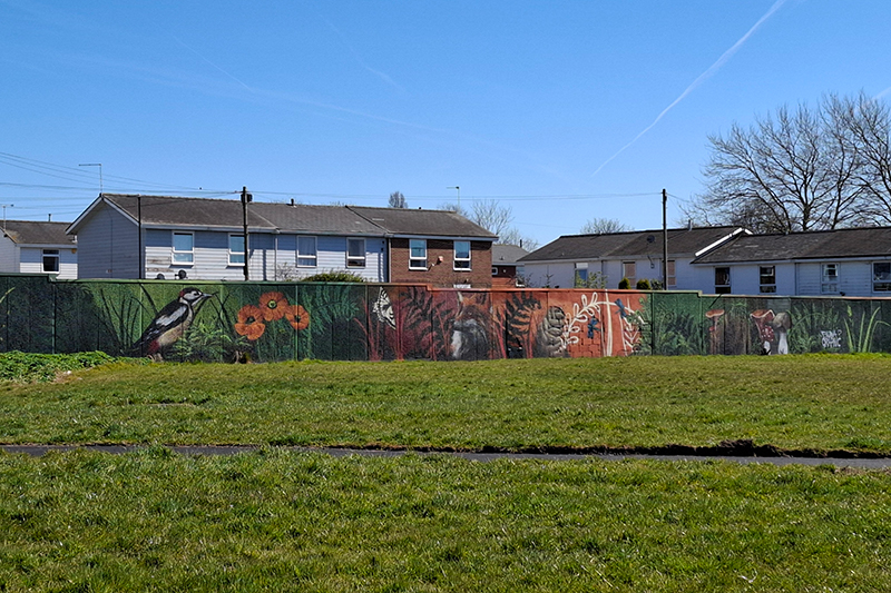 A field with houses in the background, behind a fence with street art