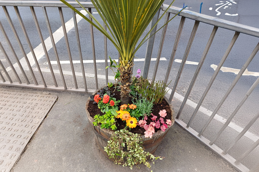 Planter on a pavement, full of flowers