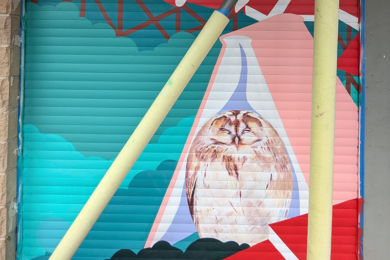 Street art of an owl on a shop shutter