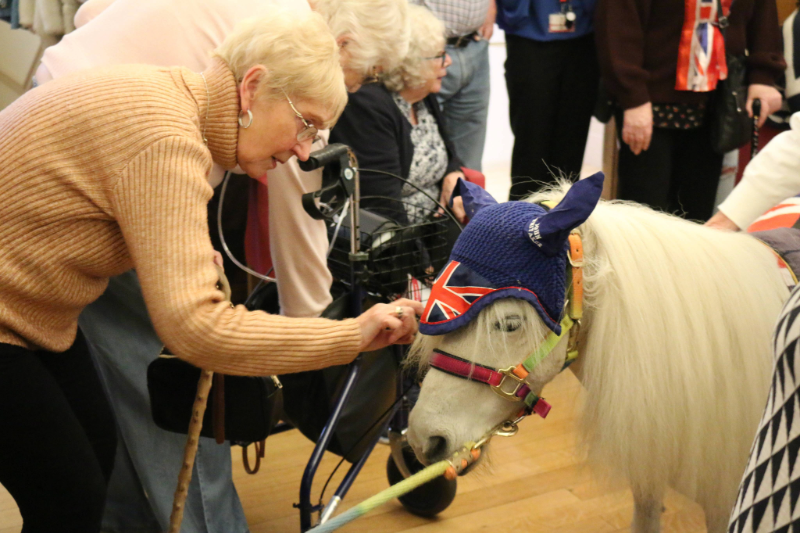 Residents petting a pony at a VE Day party