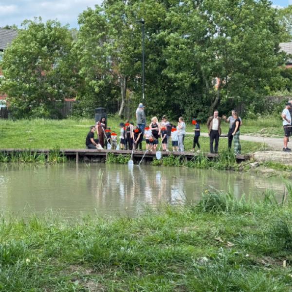 fishpond